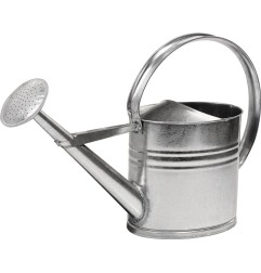 Arrosoir 10 l argent métal galvanisé