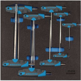 Module à outils 1500 CT2-DT 2142 9 pièces module 2/3 clé mâle coudée GEDORE