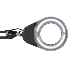 Éclairage à loupe à LED