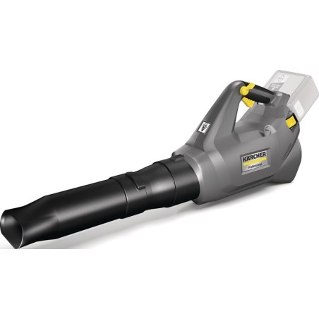 SOUFFLEUR DE FEUILLES LB 930/36 Bp