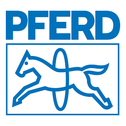 Jeu de 12 limes PFERD Aiguilles